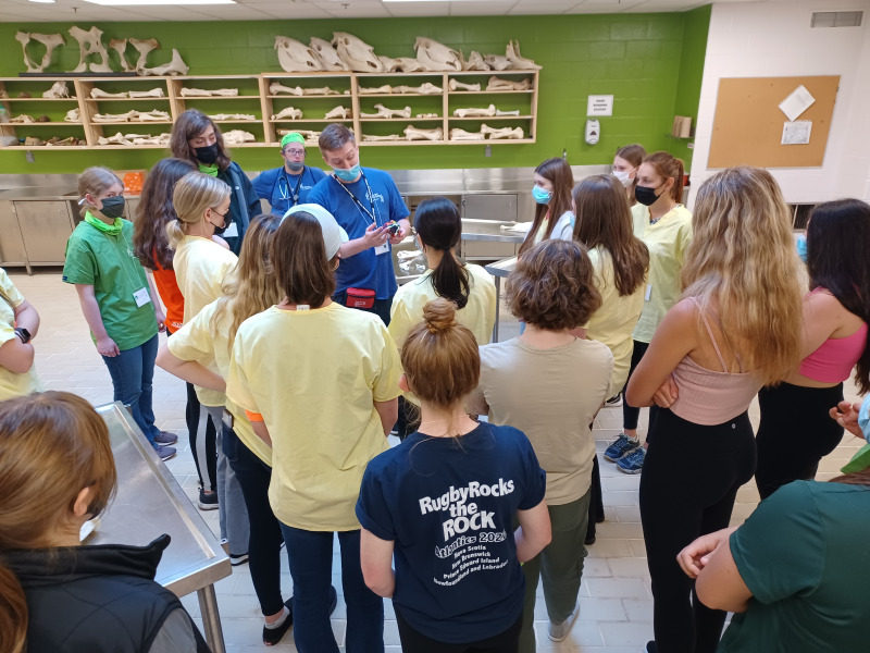Campers learn about anatomy during the 2022 AVC Vet Camps. 