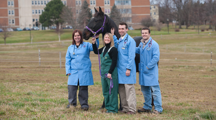 four vet students and a horse