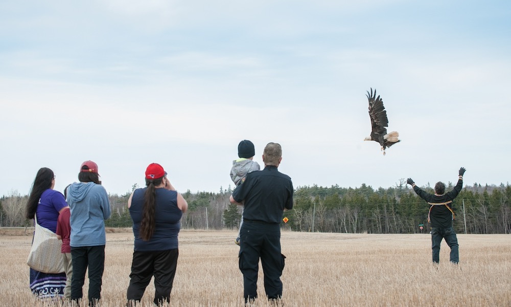 a group of people attending an eagle release