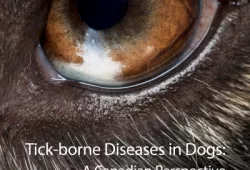 Cover of Tick-borne Diseases in Dogs