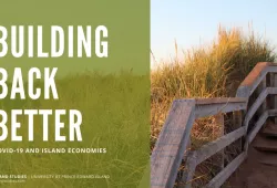 An image of a weathered, wooden boardwalk laid across a sandy landscape with long beach grass with the words "Building Back Better" superimposed