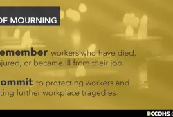 graphic with text about the National Day of Mourning