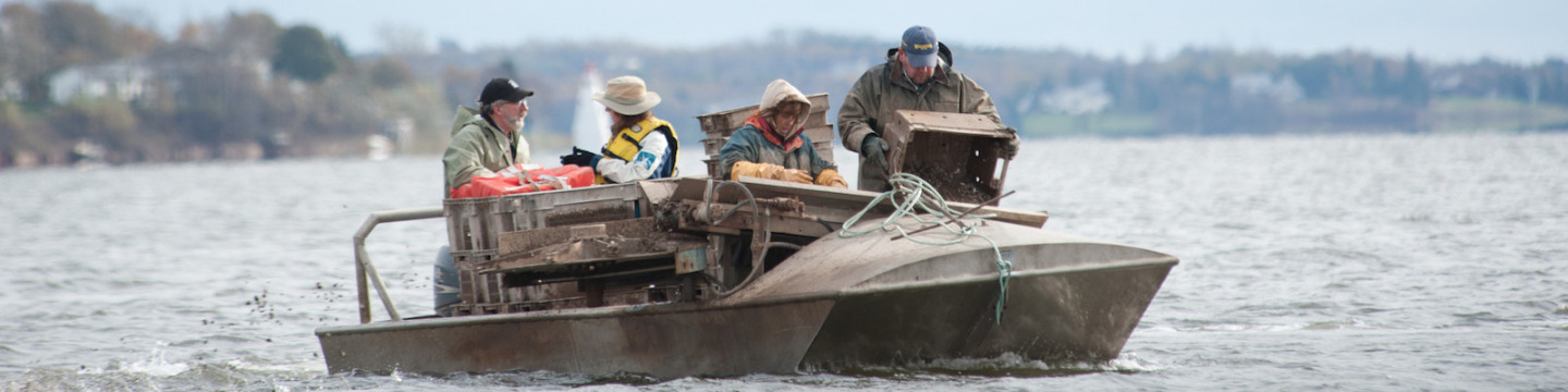 four shellfish harvesters on an oyster boat