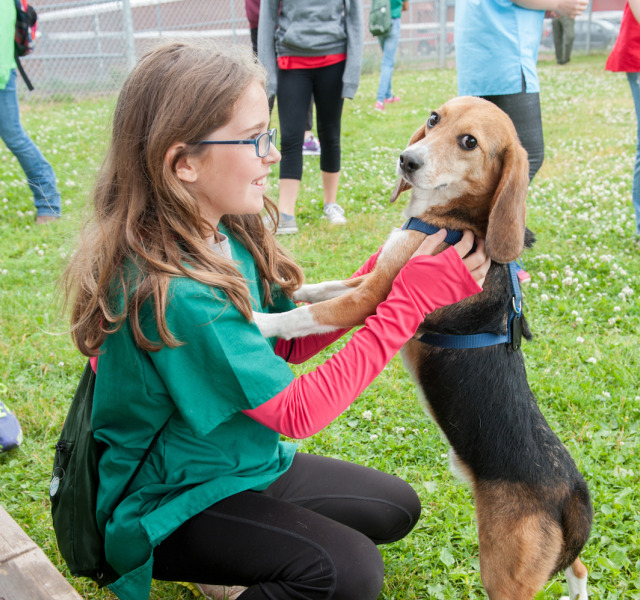 AVC Summer Programs | University of Prince Edward Island