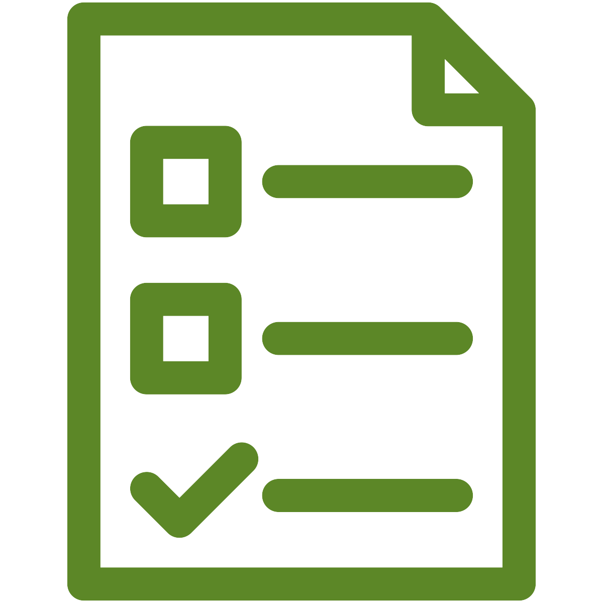 checklist icon