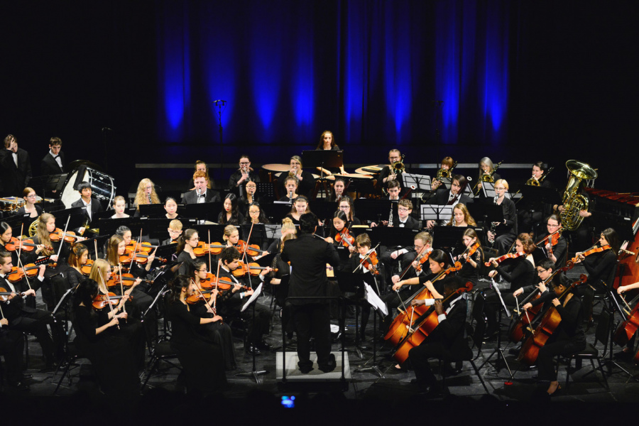 A symphony orchestra on stage