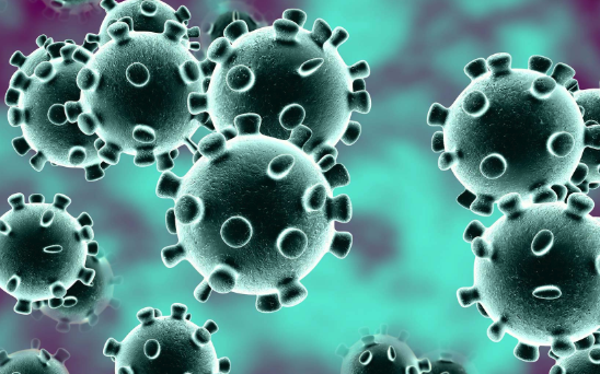 Image of coronavirus