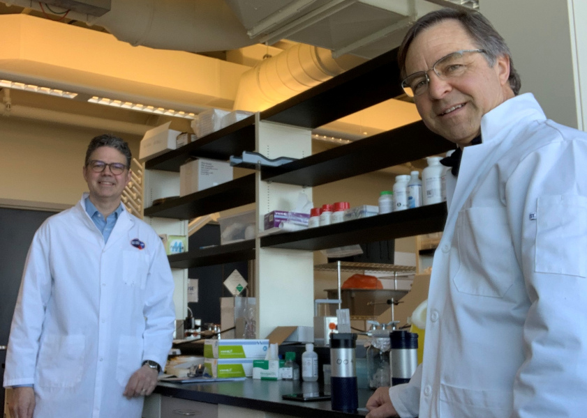 Two male scientists in a laboratory