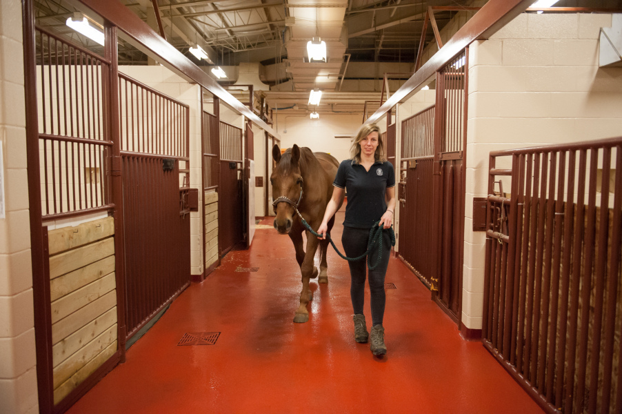 Dr. Nora Biermann, shown here in the AVC Veterinary Teaching Hospital, is the winner of the graduate Governor General's Medal and the Faculty of Graduate Studies Award of Distinction for UPEI. Dr. Nora Biermann, shown here in the AVC Veterinary Teaching Hospital, is the winner of the graduate Governor General's Medal and the Faculty of Graduate Studies Award of Distinction for UPEI.