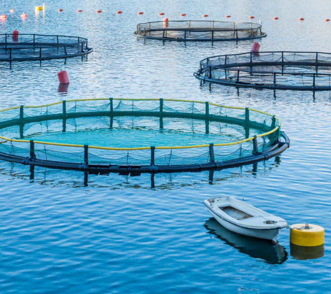 An image from the front cover of Aquaculture Health Management: Design and Operation Approaches