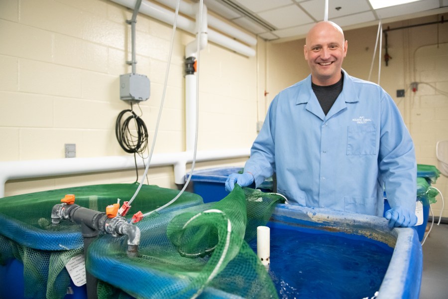 Dr. Mark Fast, professor of fish health and immunology, Atlantic Veterinary College