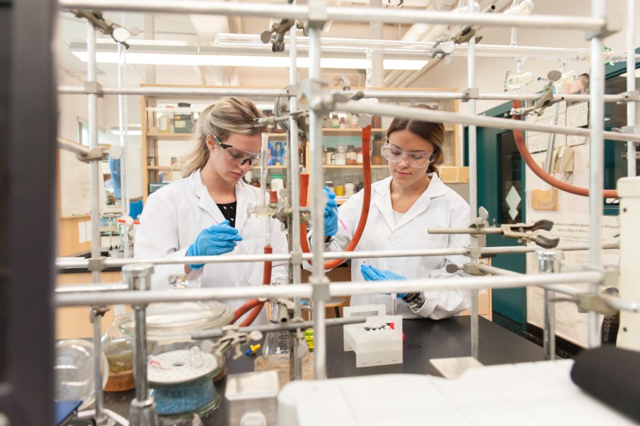 Two females in lab coats and protective goggles work in a chemistry lab filled with test tubes and chemical