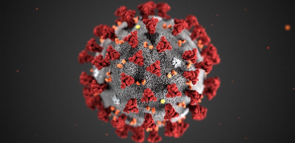 An artistic rendering of the COVID-19 virus, a dark sphere dotted by clusters of shaggy spikes