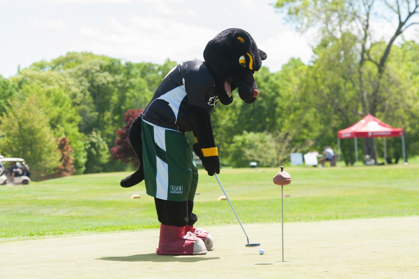 pride the panther putts a golf ball
