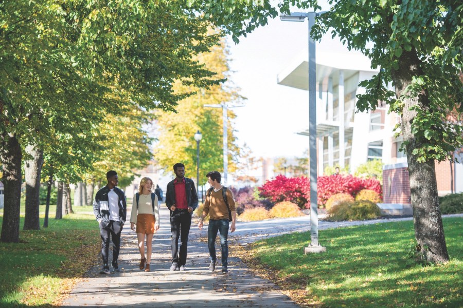 Photo of four students walking along a campus pathway