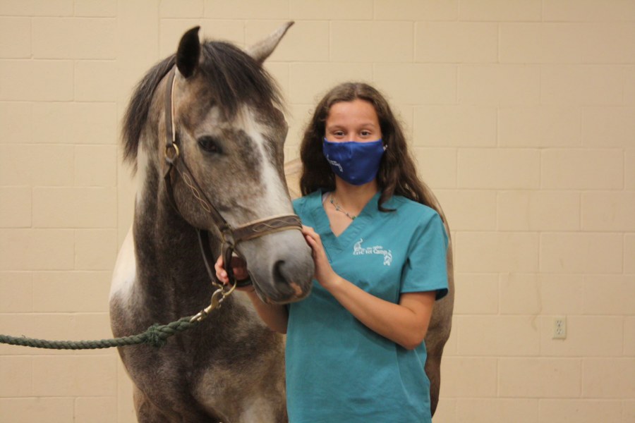 A participant in the 2021 Dr. Tim Ogilvie AVC Vet Camp with a horse A vet camp participant with a horse