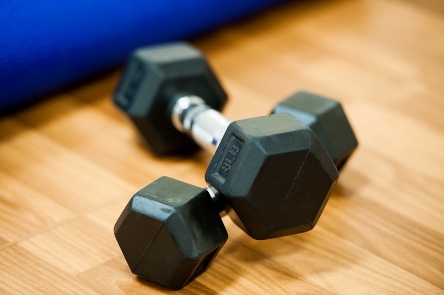 A pair of hand weights sit on the floor of an exercise studio