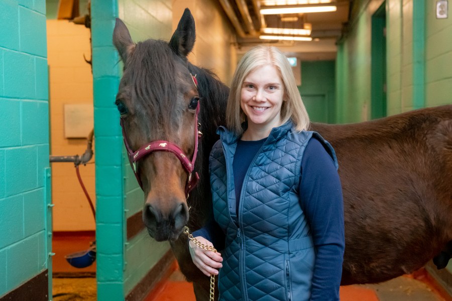 Dr. Jennifer Burns, equine veterinarian and assistant professor, Atlantic Veterinary College