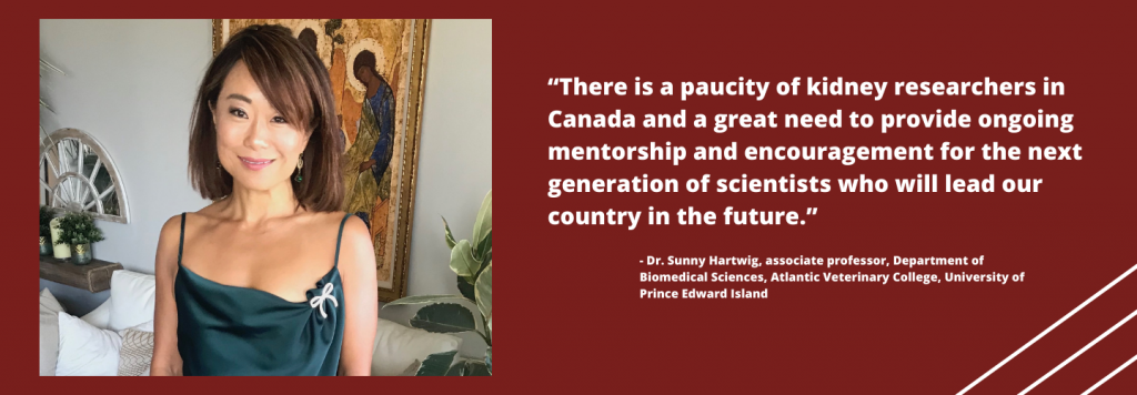 Dr. Sunny Hartwig is the national chair of the KRESCENT program. Dr. Sunny Hartwig is the national chair of the KRESCENT program.