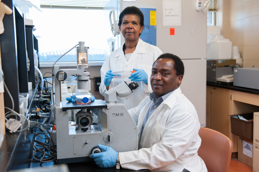 Drs. Fred Kibenge and Molly Kibenge pictured in an AVC lab. Drs. Fred Kibenge and Molly Kibenge pictured in an AVC lab.