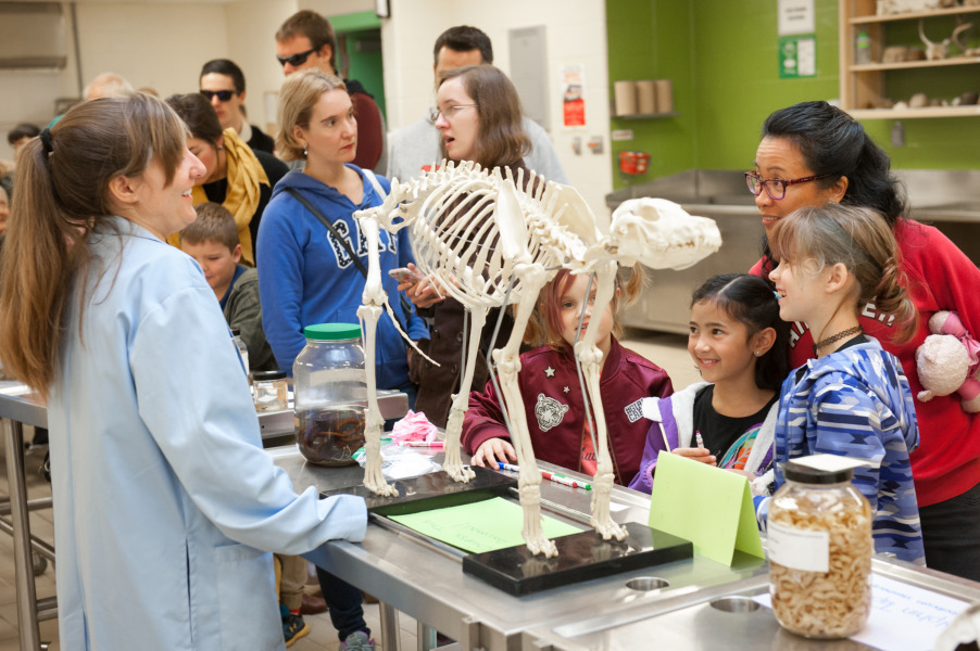 An AVC student shares information with guests in our anatomy lab. 