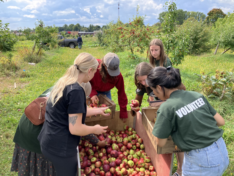 As part of an “Afternoon of Service” in June 2022, UPEI student volunteers participated in various activities with residents of The Mount Continuing Care Community, including helping with the apple orchards. As part of an “Afternoon of Service” in June 2022, UPEI student volunteers participated in various activities with residents of The Mount Continuing Care Community, including helping with the apple orchards.
