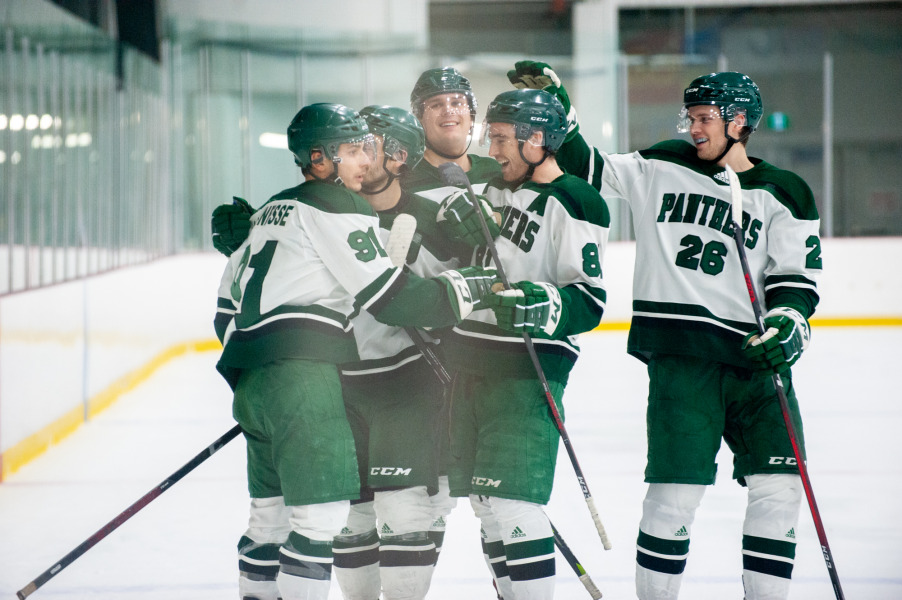 The UPEI Men's Hockey Panthers celebrate a goal in Saturday's (November 26) win against the Dalhousie Tigers.