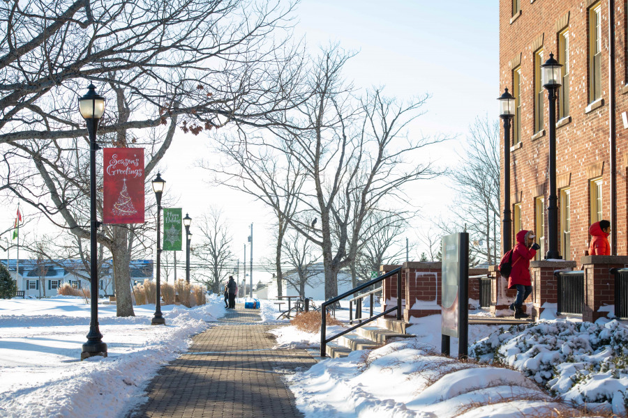 photo of the walkway with holiday banners in the quad during winter
