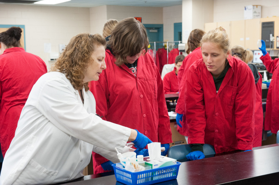 File footage of Summer Academy participants taking part in a lab. (Please note: This photo was taken prior to COVID-19) File footage of Summer Academy participants taking part in a lab. (Please note: This photo was taken prior to COVID-19)