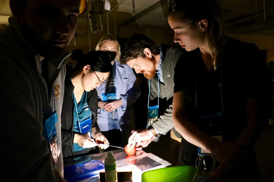 SCVMA Symposium participants learn to use an ultrasound to practice taking ultrasound guided biopsies. (Photo credit: Kristy Faulkner) SCVMA Symposium participants learn to use an ultrasound to practice taking ultrasound guided biopsies. (Photo credit: Kristy Faulkner)