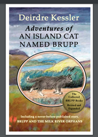 Cover of Adventures of an Island cat named BRUPP Book cover