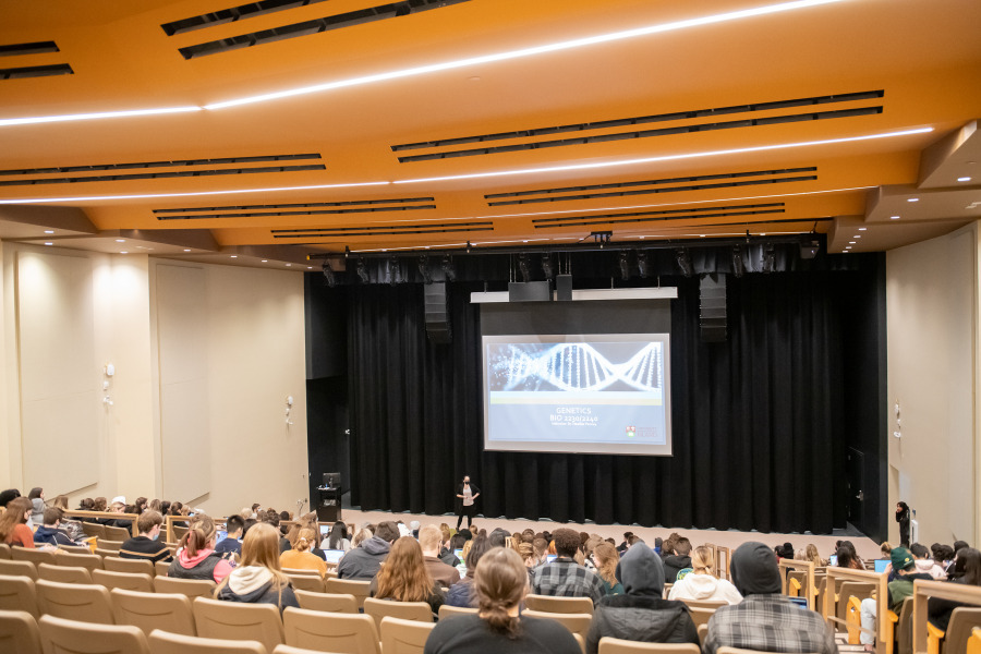 photo of performing arts theatre