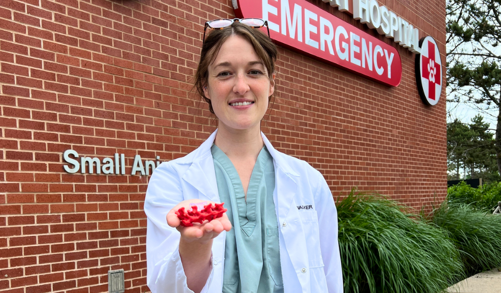 Photo of Dr. Meagan Walker, veterinarian, holding her drill guide