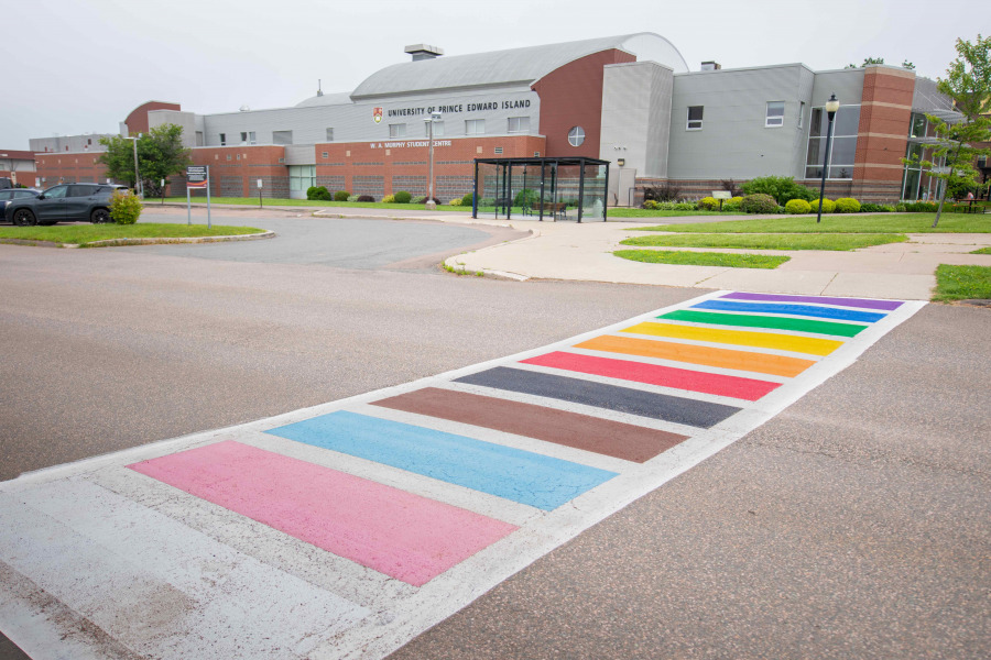 photo of crosswalk in front of Student Centre painted in Progress Pride colours