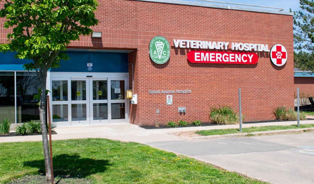 Photo of the exterior of the AVC Veterinary Teaching Hospital 