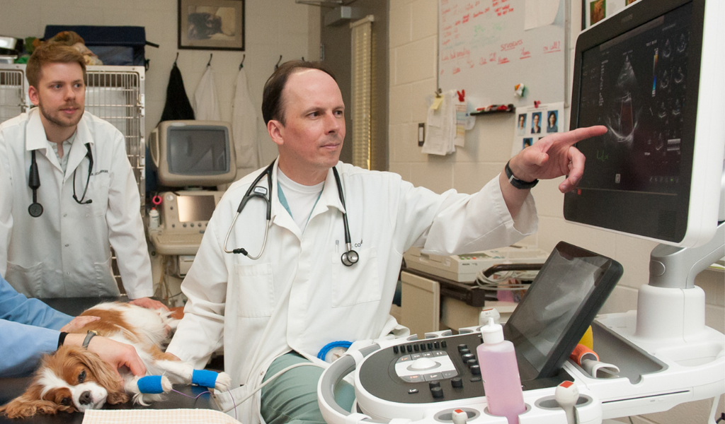 Dr. Étienne Côté receives Daniel Elmer Salmon Award 