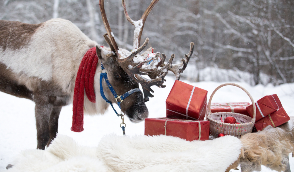 Santa's Reindeer