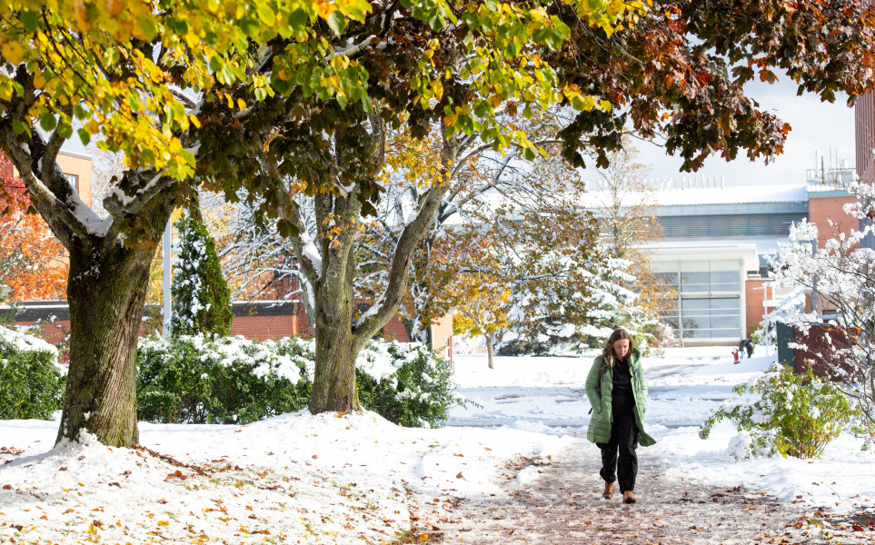 UPEI campus, November 2023 UPEI campus in the snow