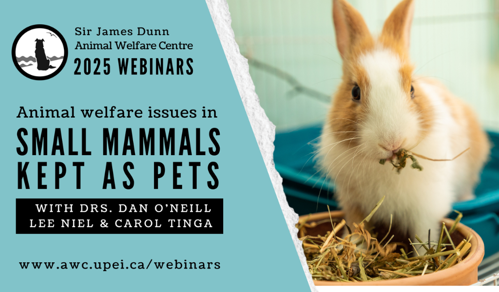 Sir James Dunn Animal Welfare Centre to host webinar series 