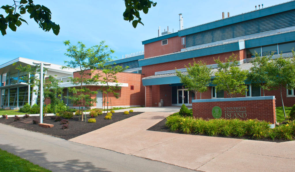 AVC Building