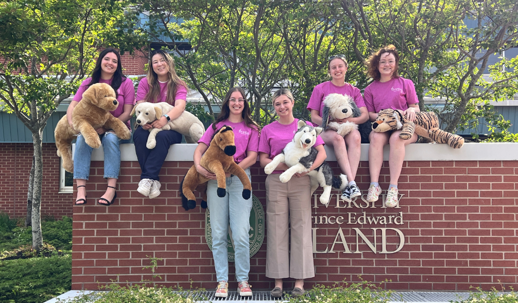 AVC Vet Camp team (L-R): Haley Greene, Molly Park, Cassidy Park, Leah Campbell, Sammy Daling, and Emmy Barr AVC Vet Camp team (L-R): Haley Greene, Molly Park, Cassidy Park, Leah Campbell, Sammy Daling, and Emmy Barr