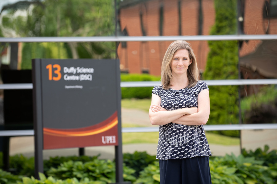 Dr. Désirée Seib Dr. Désirée Seib
