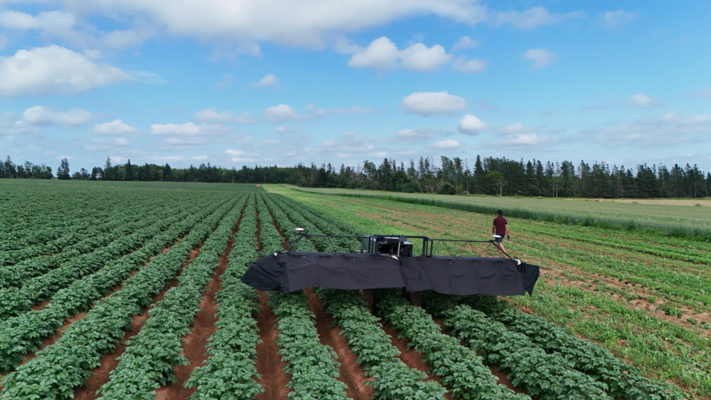 The AgriScout robot, developed at UPEI, uses artificial intelligence technology to detect viruses in PEI potato fields.