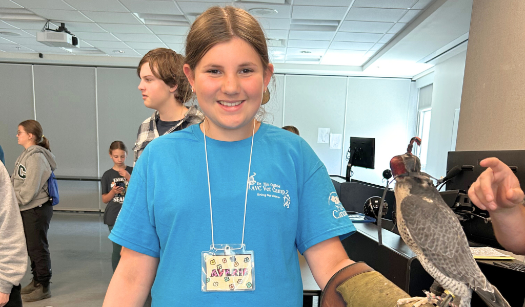 Camper Averie holds a falcon during Vet Camp Camper Averie holds a falcon during Vet Camp