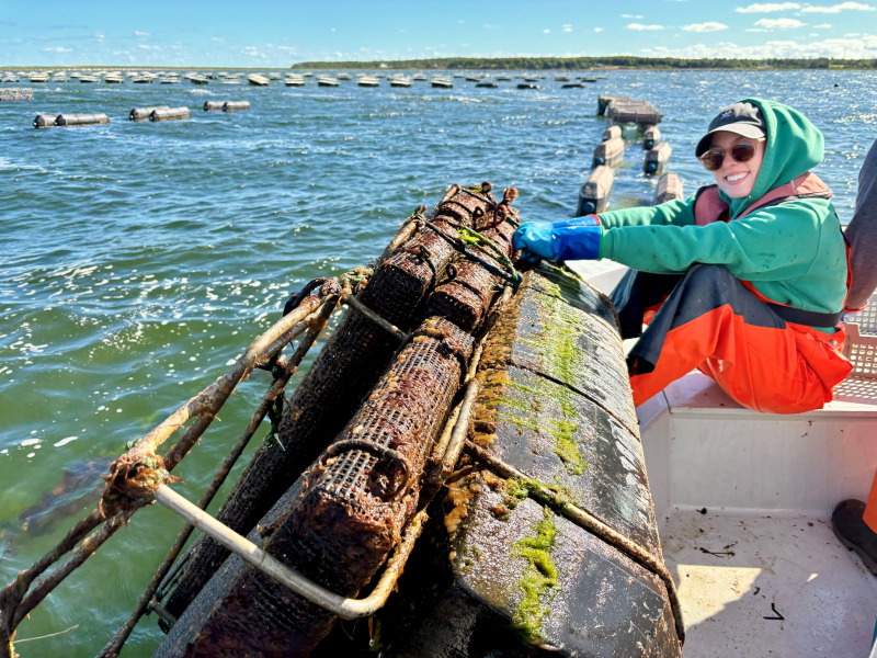 Madeleine Lafrenière, biology honours student at UPEI, works with oyster cages in Savage Harbour. Student with oyster cages