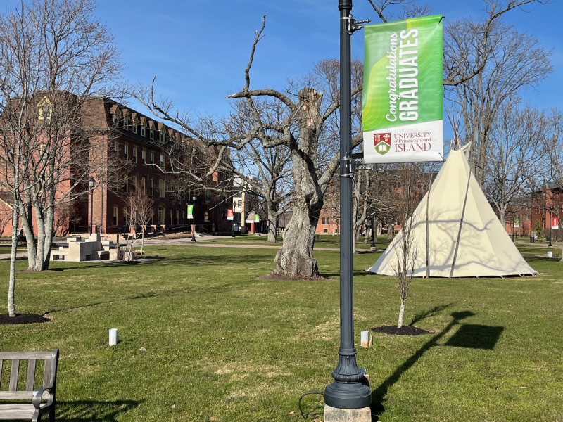 photo of the campus quadrangle during spring
