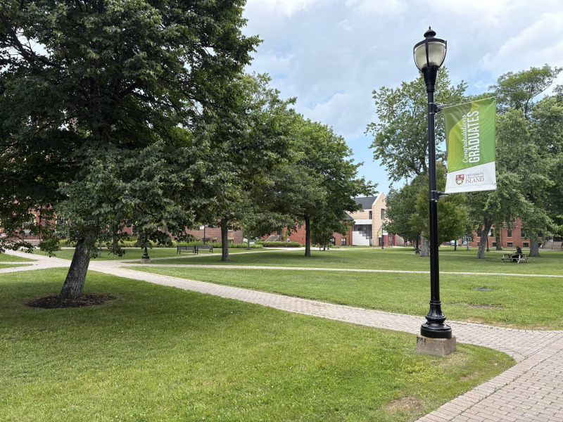Photo of campus quadrangle in summer