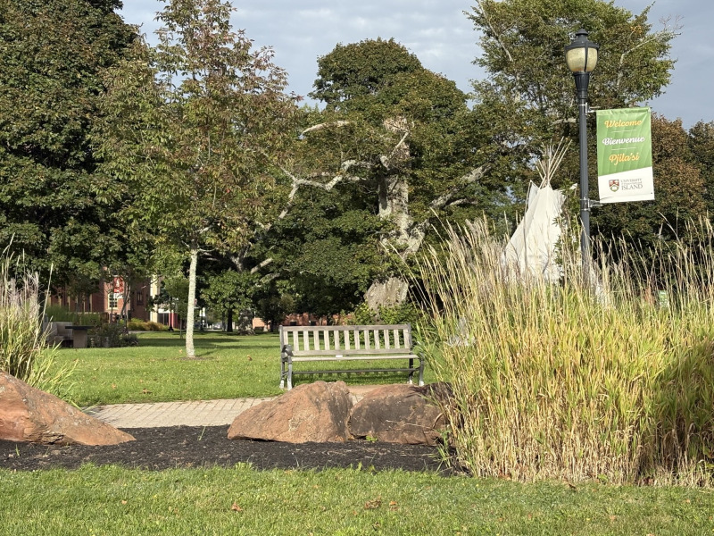 Photo of bench and lamp post banner in the campus quadrangle 