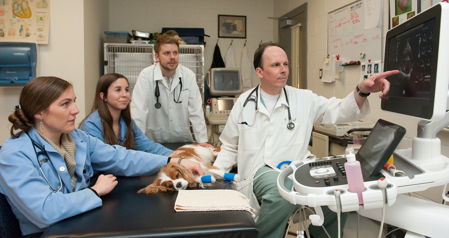 Dr. Etienne Cote and students review an image