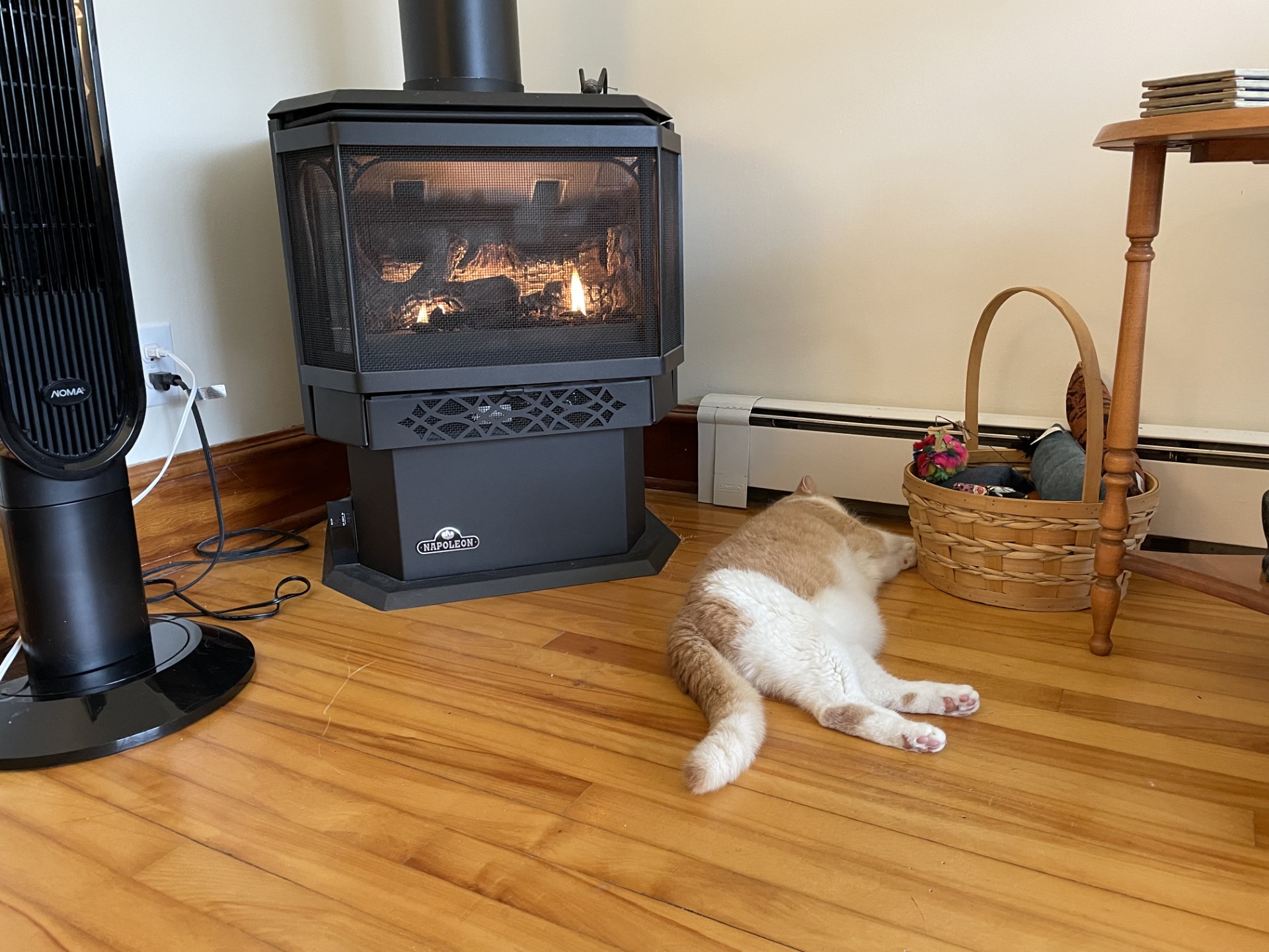 Cat sleeping on left side